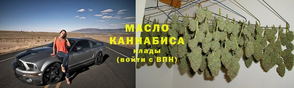 индика Ладушкин