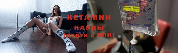 индика Ладушкин