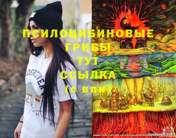 молекула духа Горняк