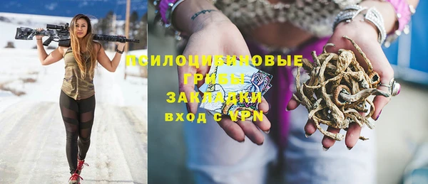 прущие крисы Лабытнанги
