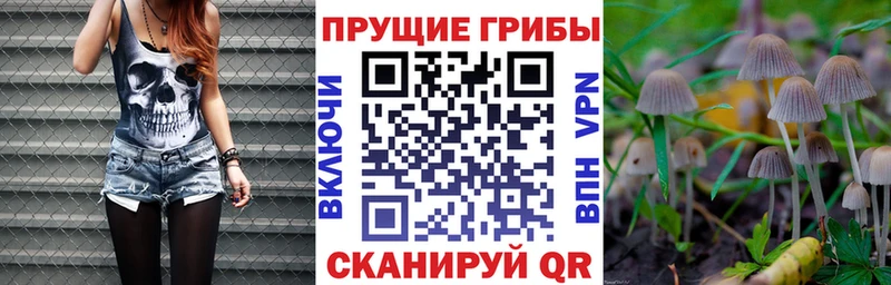 Купить где  Зерноград  Псилоцибиновые грибы Magic Shrooms 