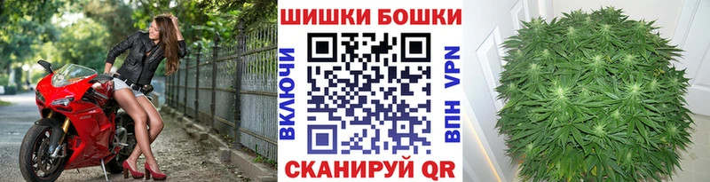 Купить  Зерноград  Каннабис сатива 